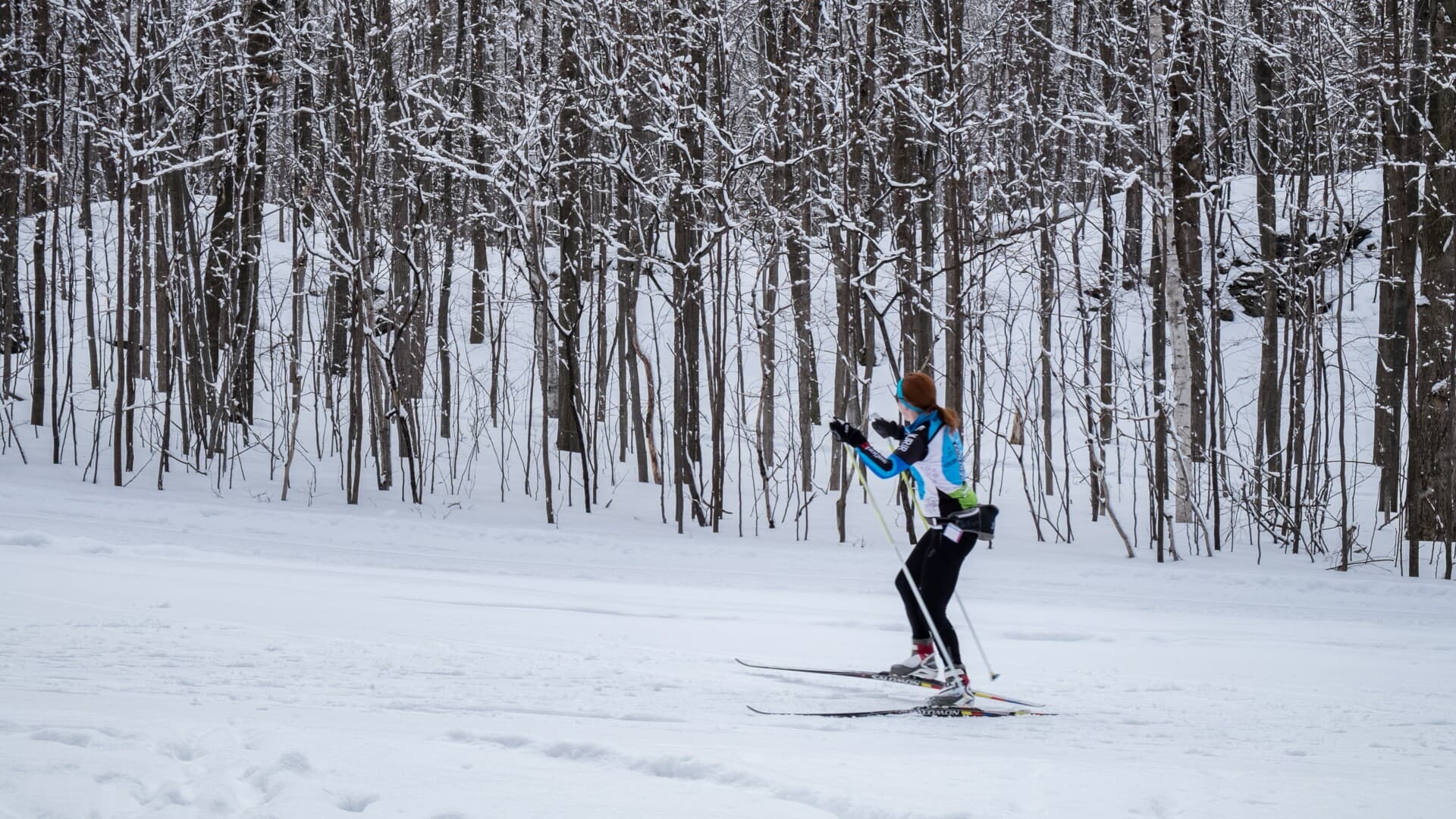 Vasaloppet 2023 Vasaloppet 2023