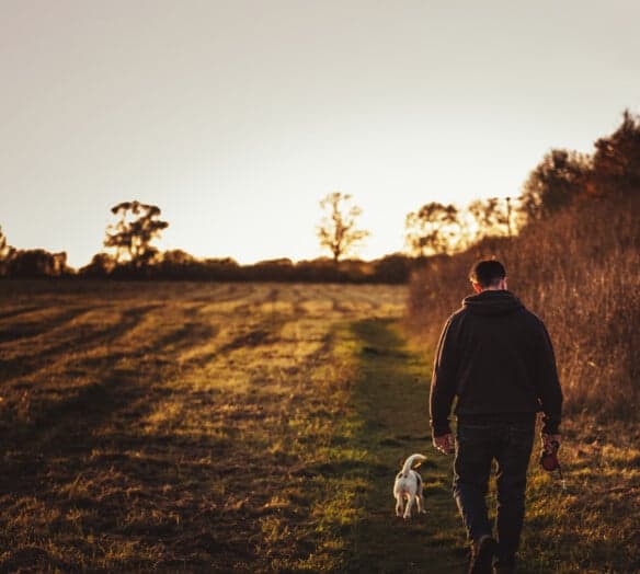 man på promenad med hund man på promenad med hund