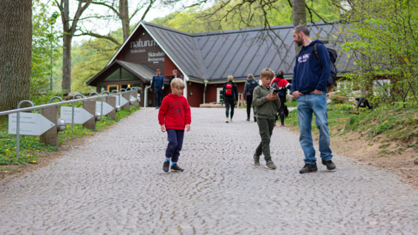 Forskare: Inte troligt att barn driver covid-19-pandemin