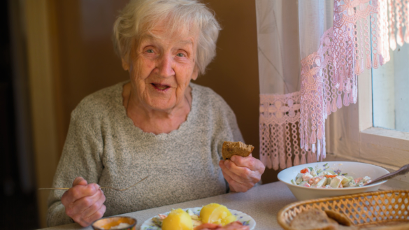 Allt om undernäring