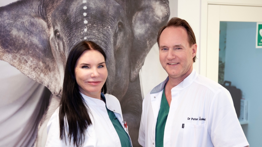 Luktstörningar till följd av sjukdom eller ålder