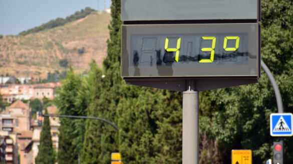 Värmeökningen ger mer denguefeber och malaria