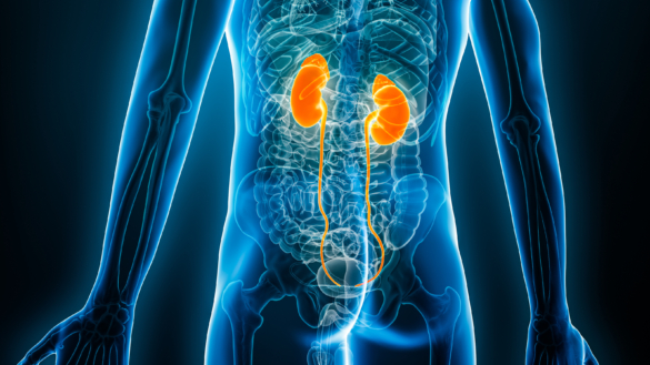 Nationella kvalitetsregister inom onkologi behöver kunna rapportera läkemedelsanvändning