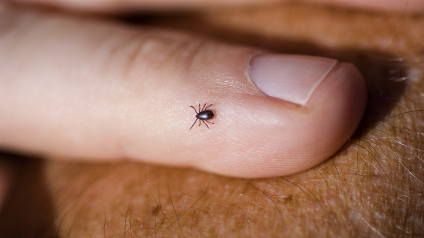 Skydda dig mot TBE med vaccination!