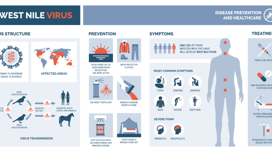  West Nile-virus kan ge influensaliknande symtom och i värsta fall  hjärninflammation eller hjärnhinneinflammation. Foto: Getty Images