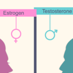 Immunförsvaret påverkas av könshormoner