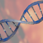 Nobelpriset i medicin 2024: banbrytande upptäckt av mikroRNA