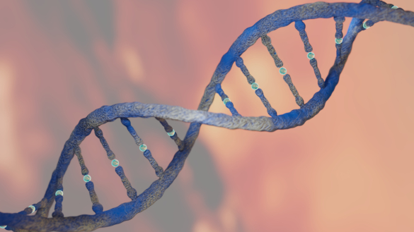 Nobelpriset i medicin 2024: banbrytande upptäckt av mikroRNA