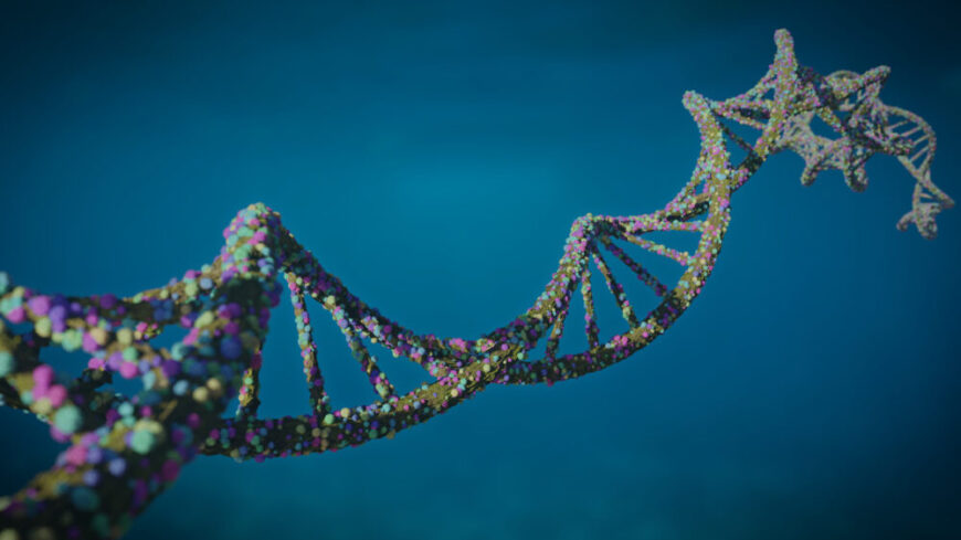 Nobelpriset i fysiologi eller medicin 2024: En banbrytande upptäckt inom genreglering