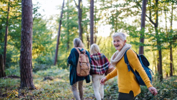 Livslängden i Europa: utmaningar & lösningar