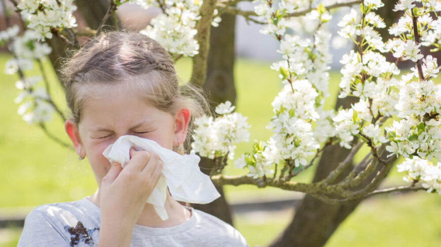 Tablett mot trädpollenallergi godkänd för barn