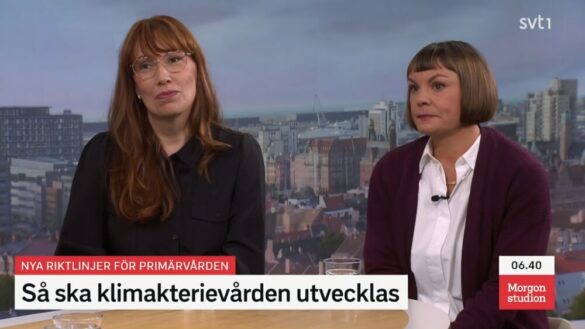 Socialstyrelsen vill öka kunskap om klimakteriet