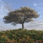 Tidsomställning påverkar risken för hjärtinfarkt