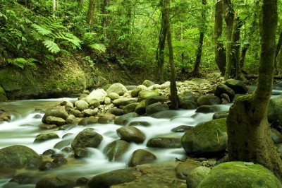 Hypnos – ett tillstånd som lindrar