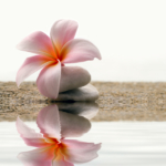 Malin Berghagen – boxning och yoga ger mig energi!