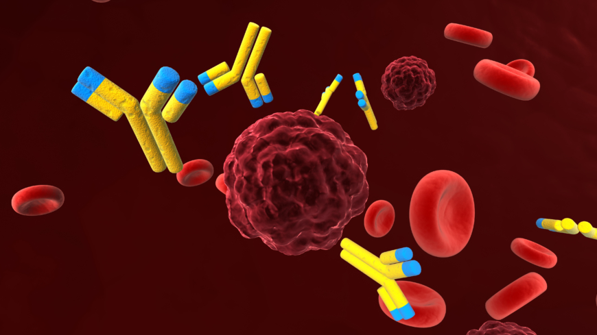 Kroppsegna celler blir nytt cancerläkemedel