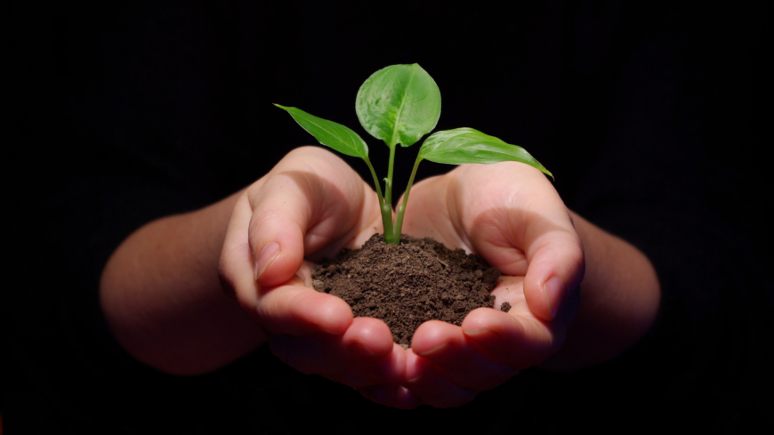 Smärtlindring vid cancer