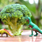Superbroccoli kan förhindra artros