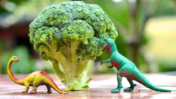 Superbroccoli kan förhindra artros