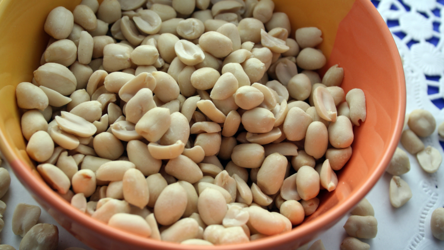 Träna immunförsvaret – slipp jordnötsallergi