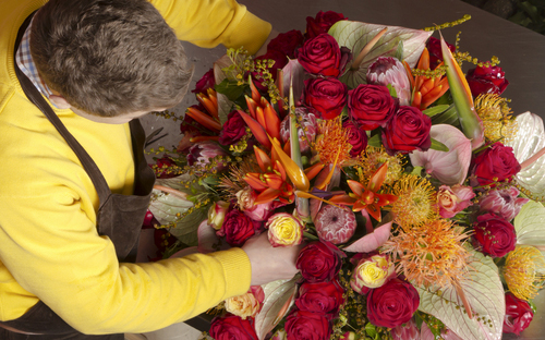 Under november kommer en utvald bukett kunna köpas direkt via Interfloras hemsida till förmån för kampanjen. Foto: Shutterstock