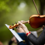 Den kulturella hjärnan – vården och kulturen