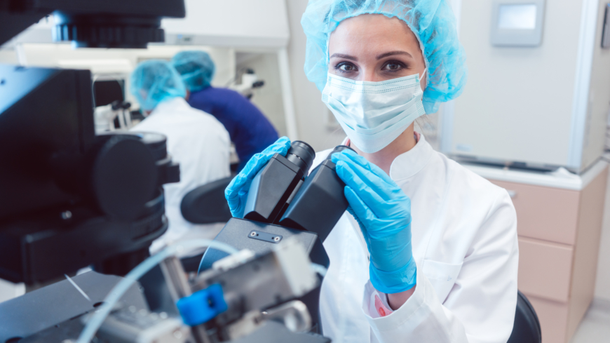 Årets främsta forskningsnyheter