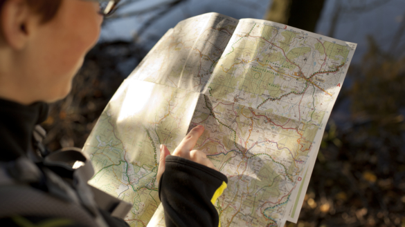 Pensionärer som orienterar åldras hälsosamt