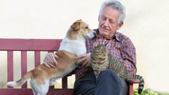 Så kan män med allvarlig prostatacancer leva längre