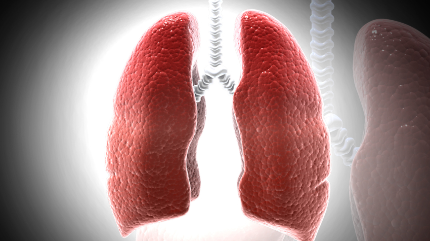 Sarkoidos är en infflammation som oftast drabbar lungorna. Foto: Shutterstock