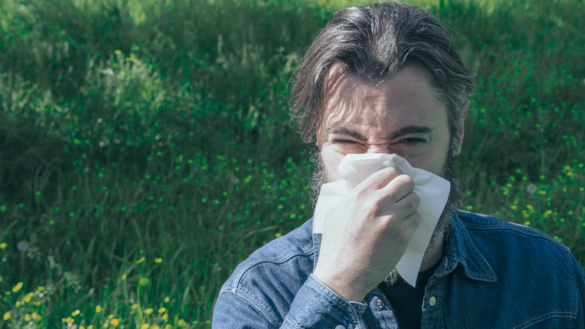 Pollenvaccin finns men få behandlas – så ser det ut i din region