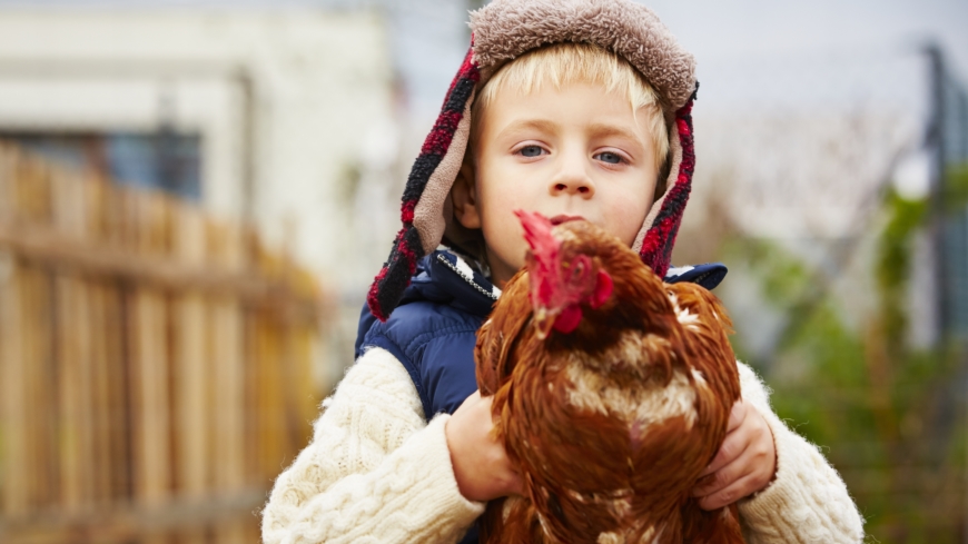 Hygienhypotesen bygger på att det kan vara bra att utsättas för lite smuts. Foto: Shutterstock
