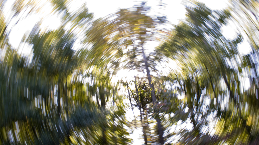  En form av yrseln är den rotatoriska, när det känns som att världen snurrar runt en som i en karusell. Foto: Shutterstock