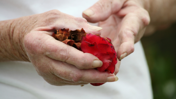 Nytt preparat mot reumatoid artrit (RA) har visat sig effektivt