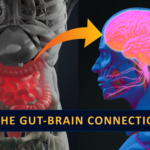 Tarmens mikrobiota: påverkan på hälsa och sjukdom