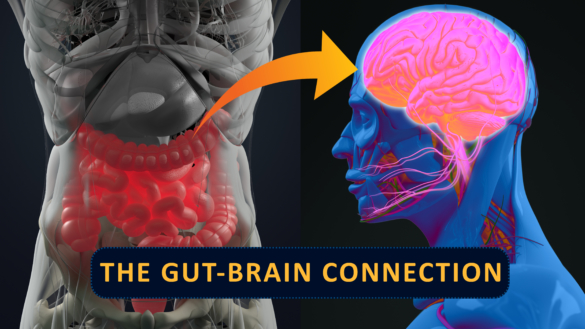 Tarmens mikrobiota: påverkan på hälsa och sjukdom