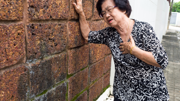 Låg utbildning riskfaktor för hjärtinfarkt och stroke
