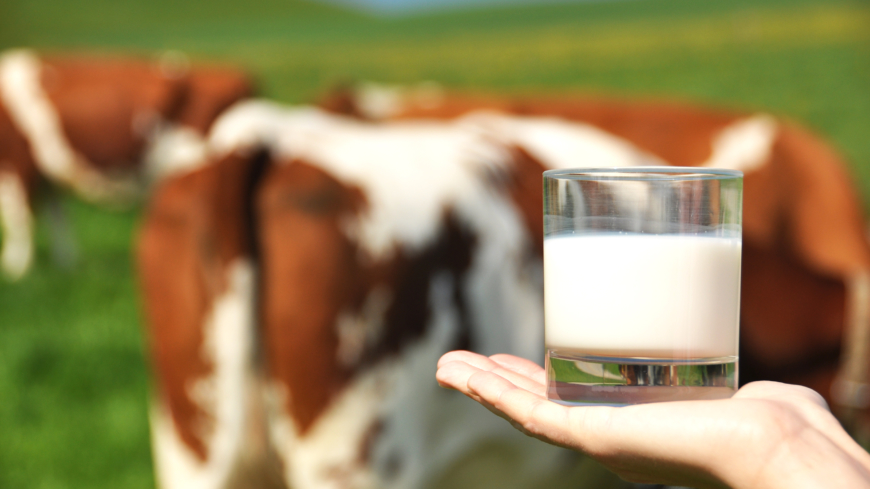 Sänk blodsockersvaret – drick mjölk!