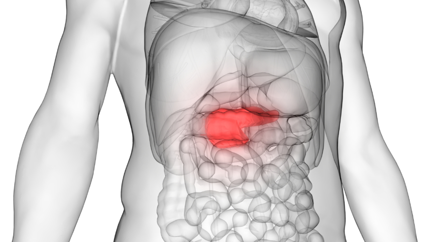 Testet som forskarna har tagit fram ger en tillförlitlighet på 96 procent vad gäller upptäckt av bukspottkörtelcancer.  Foto: Shutterstock