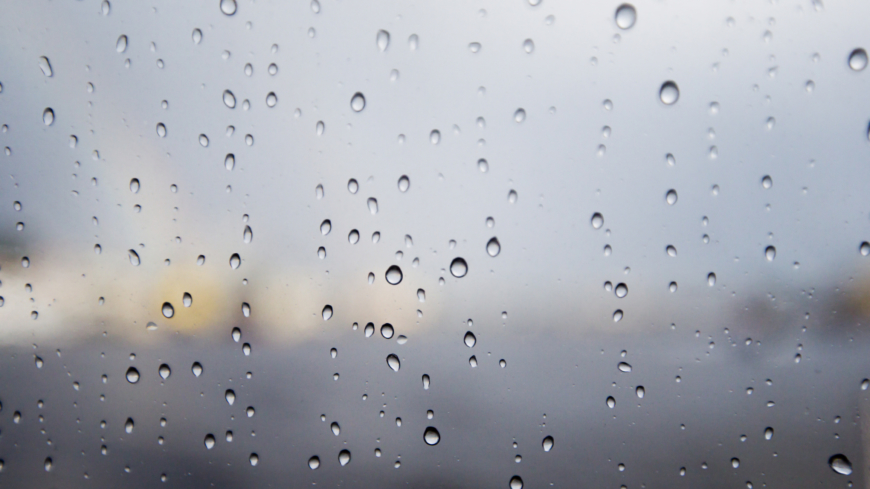 Webb-TV: Depressionssjukdom