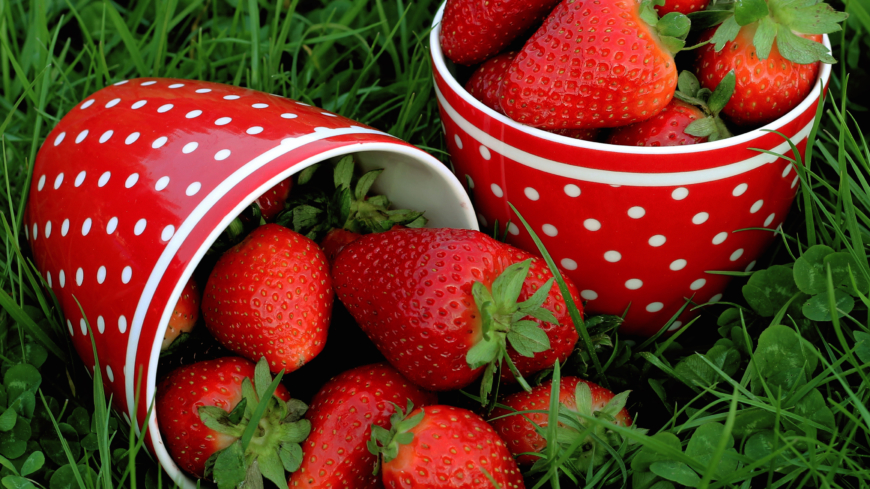 Den nyttiga jordgubben